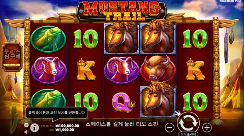 무스탕 트레일(Mustang Trail™)