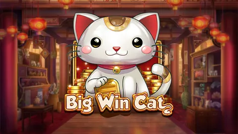 빅 윈 캣