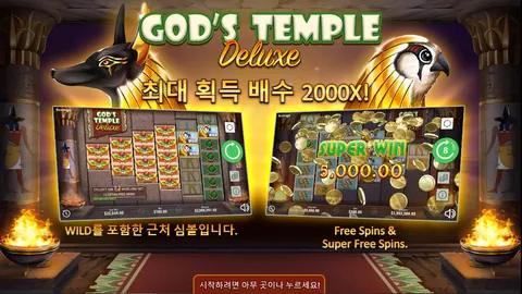 신의 사원 딜럭스
