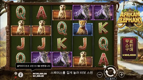 아프리카 코끼리