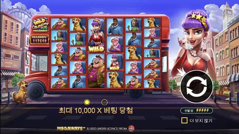 와일드 셀러브리티 버스 메가웨이즈