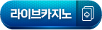 라이브카지노