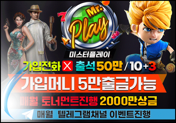 미스터플레이