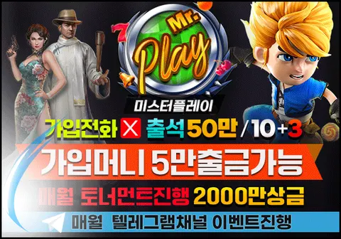 미스터플레이